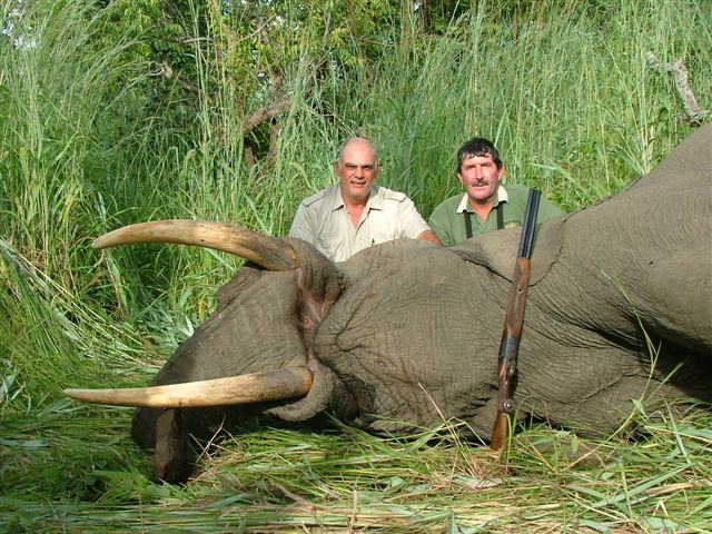 PAC Elephant