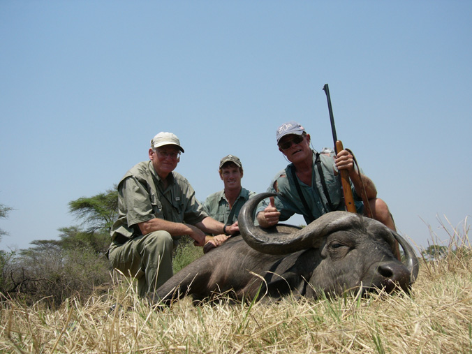 Cape Buffalo